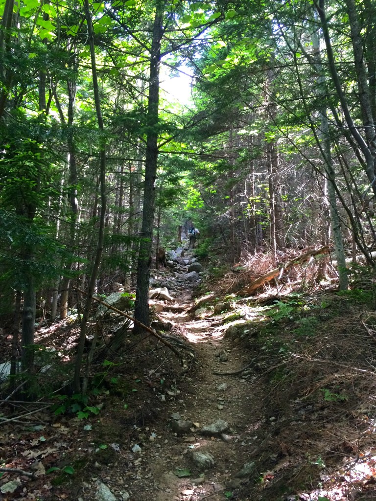 beginning path to summit