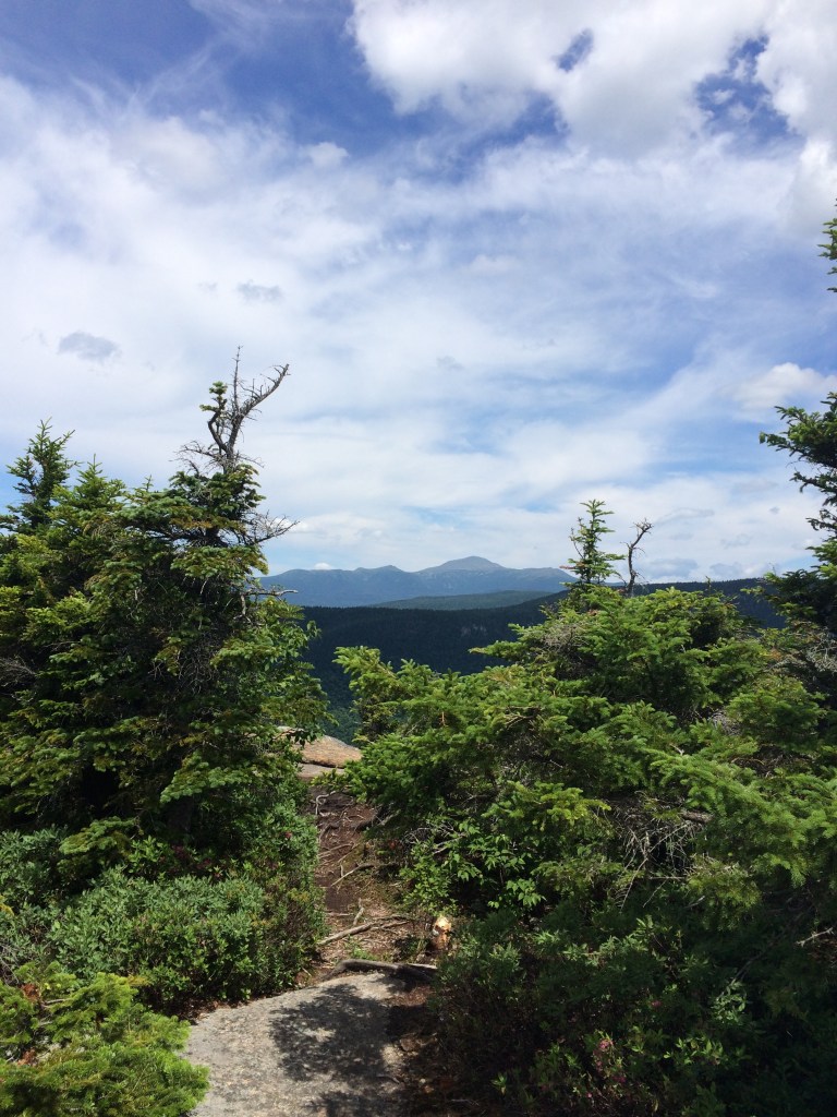 Mt. Washington at the summit of Crawaford