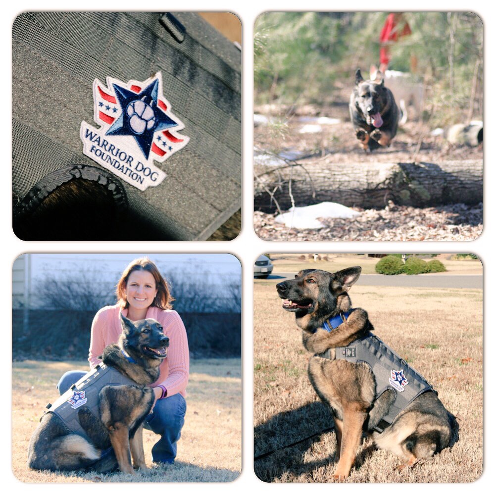 Hike for K9 Heroes