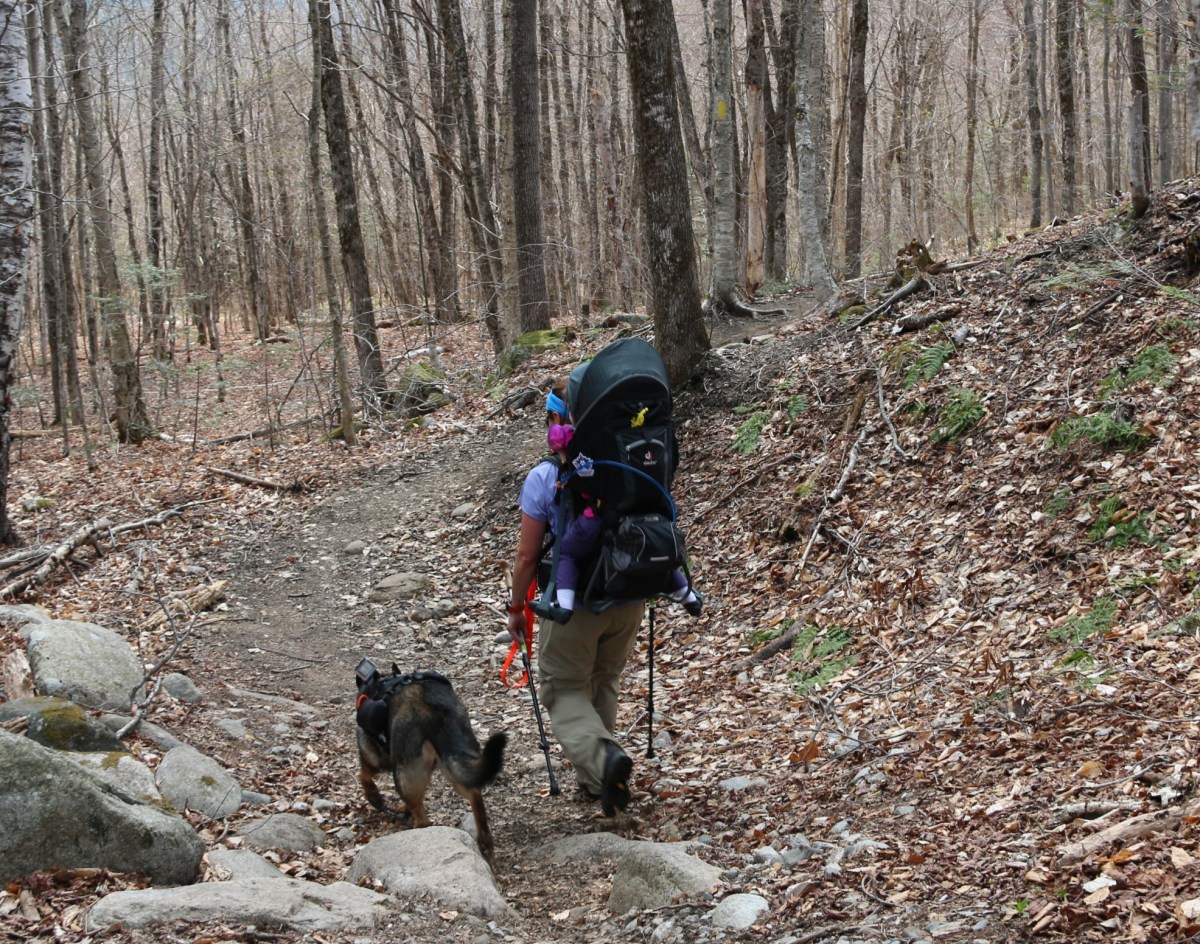 Mt. Willard – Spring&nbsp;Hike
