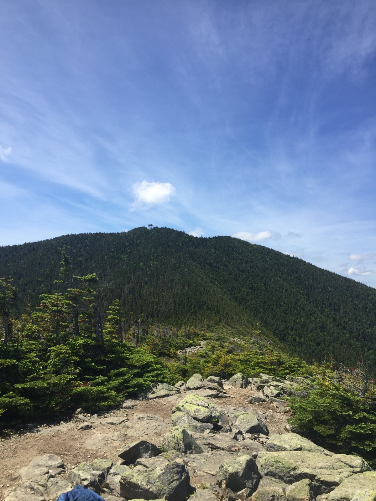 Mount Carrigain, Signal Ridge Trail
