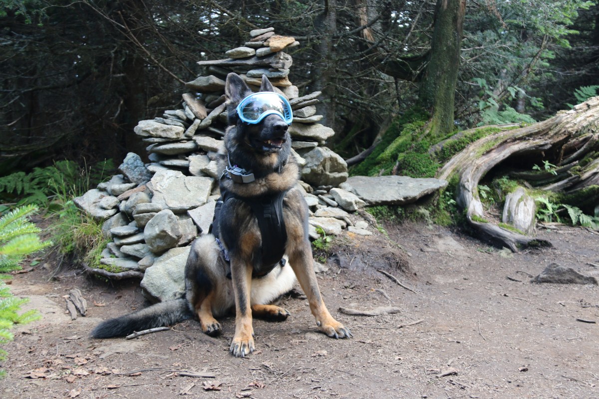 Mount Waumbeck via  Starr King&nbsp;Trail
