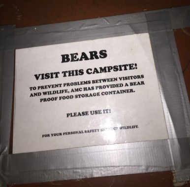 Campsite Bear Box